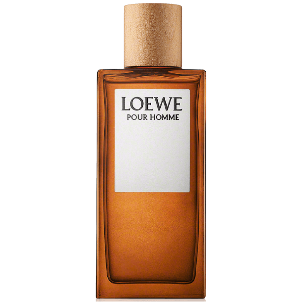 Loewe Homme